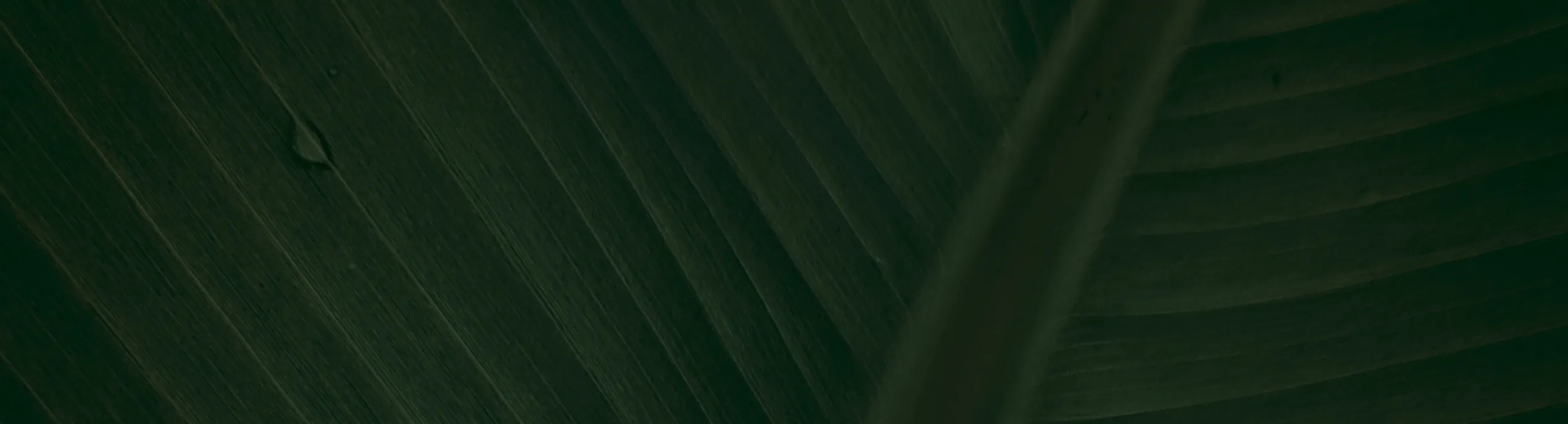 hero-image_optimized 1 Large Citronella Candle, 13.5 oz (Approximately 382.7 g) 3-Wick Soy Wax Portable Travel Tin Candle | Suitable for Home, Garden, Patio, Balcony, and Summer Gifts